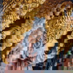 Aof Phz profile icon