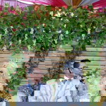 Dian Aditya Pamungkas profile icon