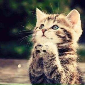 Ratree Saelee profile icon