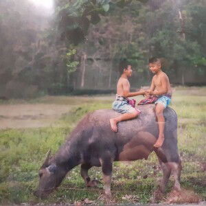 ตัว น้อย profile icon