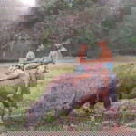 ตัว น้อย profile icon