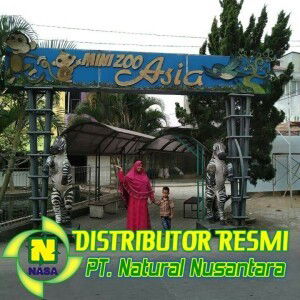 Dewi Roro Intari profile icon