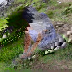 Niclent Fiffy profile icon