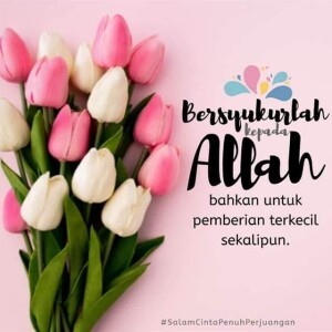 Arsyifa Salsabila profile icon