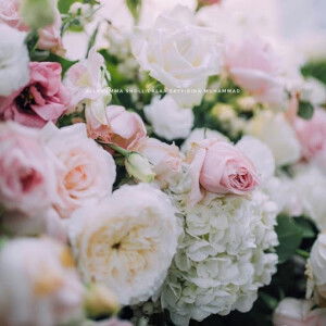 siti hajar profile icon