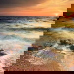 มิกกี้ มันนี่ profile icon