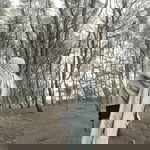 Cindy Haryati profile icon