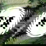 Riska Salama profile icon