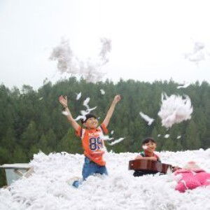 dina thonak profile icon