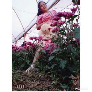 Fah Fah profile icon