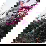 Fah Fah profile icon