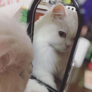 Mika Deyana profile icon