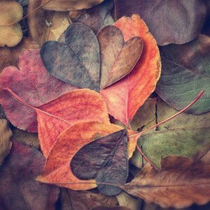 Nor Zalindah Abd Rahman profile icon