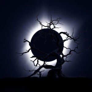 Faradilla Syeh Umar profile icon