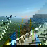 Nelis Anjani profile icon