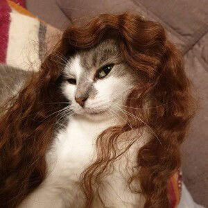 Cat Tamad profile icon