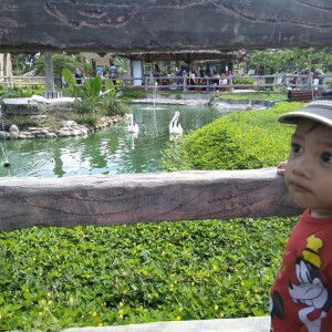 Eka Madiana profile icon