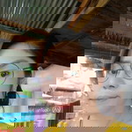 Nongnuch Chompu profile icon