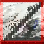 Muly Pessek profile icon