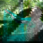 Roro Bayu Dwi Pujiningtias profile icon