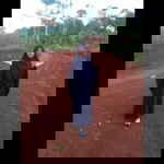 Ana Uhibbuka Fillah profile icon