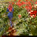 Iedah Persush Le'diess profile icon