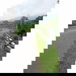 UMy ALv profile icon