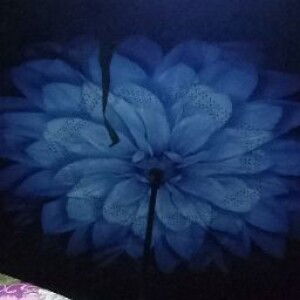 Annisa Nadya Amalia Ichsani profile icon