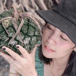 เกศกนก สุดใจ profile icon