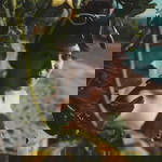 Jiratchaya Jeerapiwat profile icon