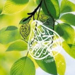 erni fariyatun profile icon