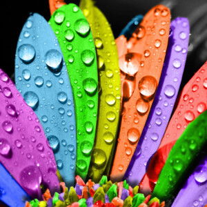 Ainaa Farhanah profile icon