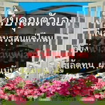 รอคนที่ใช่ จิงจังและจิงใจ profile icon