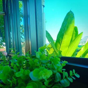 Choompoo Mungkud Jan profile icon