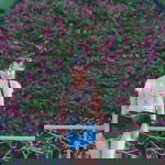 doungrutai profile icon