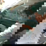 Wanida Sukphorn profile icon