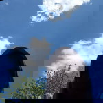 Siti Ismat profile icon