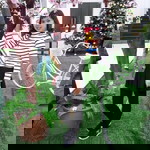 Mơ Nguyễn profile icon