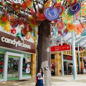 Lyn Pamahoy profile icon