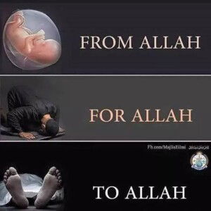 Nur Amalina Mat Yahya profile icon