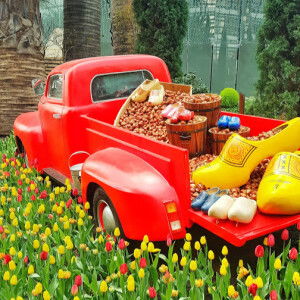 Chan ka yan profile icon