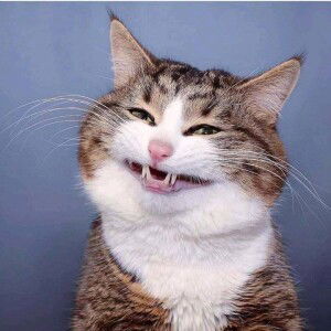 Rahma Louver profile icon