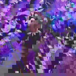 ร. รังสิมา profile icon