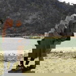 Wega Fatma Rosadi profile icon