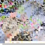 Wury Anggun Kusumawati profile icon