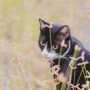 pee na si profile icon