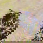 pee na si profile icon