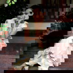 Aswini Pavithran profile icon