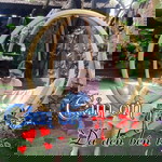 Nhuận Hữu profile icon