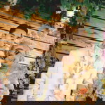 Mega Sasmita profile icon